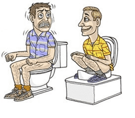 sit or squat toilet