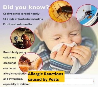 pests and diseases-asthma