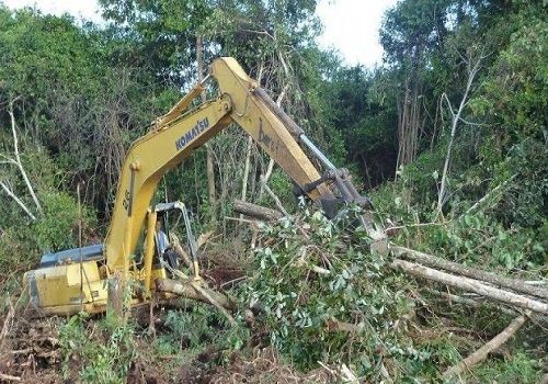 excavator machines-land clearing