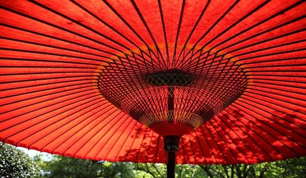 outdoor shade-backyard-comfy outdoor