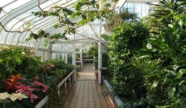 Outdoor-Glasshouse-perfect garden room