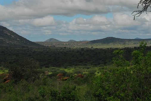 Tsavo west national park
